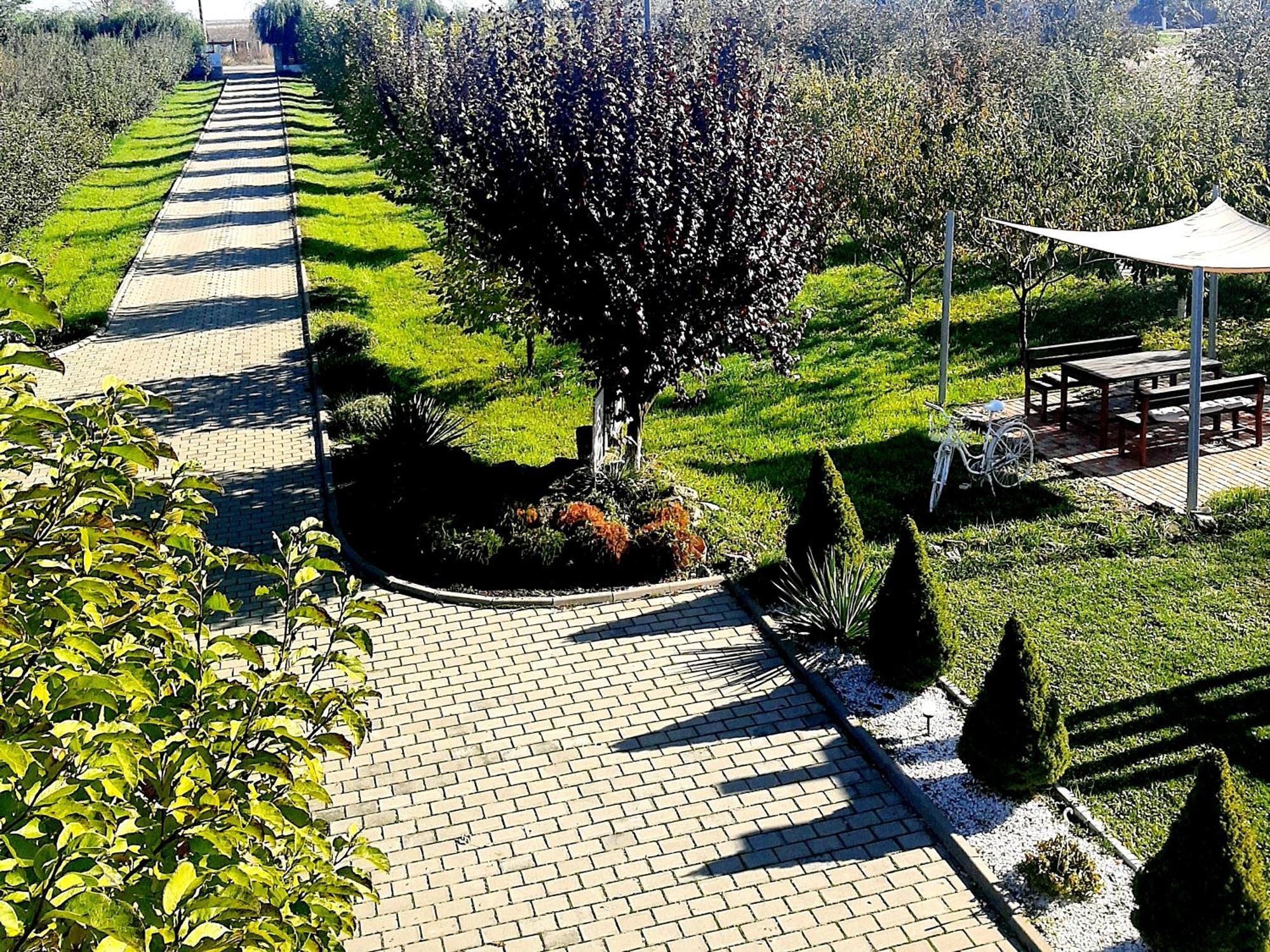 Hotel Dor De Casa à Doljesti Extérieur photo